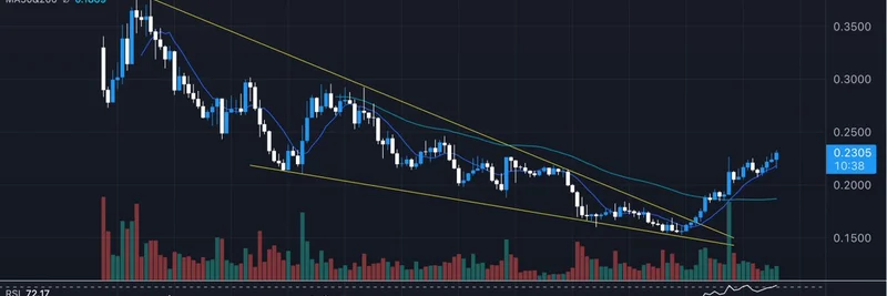 なぜ$USELESSミームコインは10億ドルに達する可能性があるのか：Bonk Guyの強気ツイートからの洞察